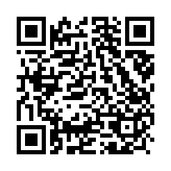 QR-kood avab INTSi avaliku töövoonäite